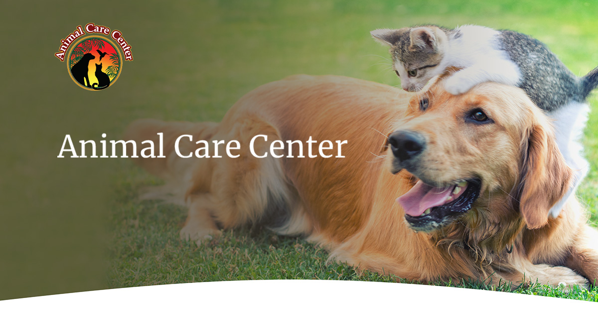 Veterinarian in Cincinnati | Animal Care Center