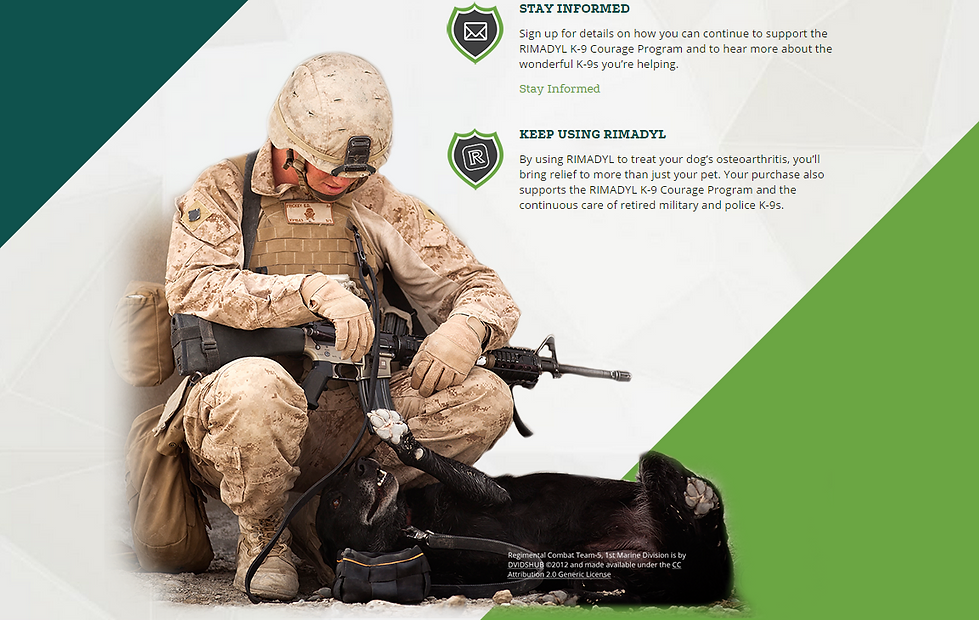 Soldier and K9 in Courage Program
