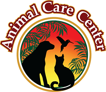 Education | Animal Care Center