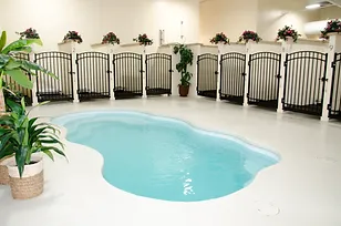Dog kennel suites for pet boarding pictured around the Animal Care Center dog swimming pool at our Blue Ash, Ohio location.