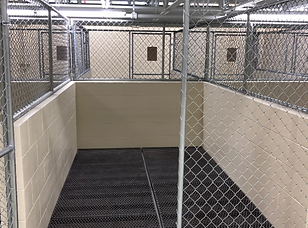 Large pet boarding kennel