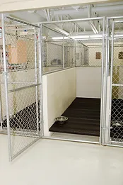 Inside of a canine boarding kennel in Blue Ash, Ohio.