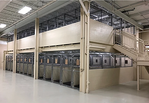 Dog boarding suites at the Blue Ash, Ohio animal care center and pet hospital