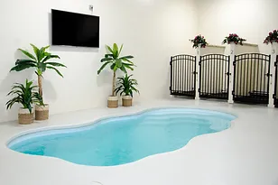 pet swimming area at Ohio veterincary clinic & dog boarding, in Blue Ash Ohio