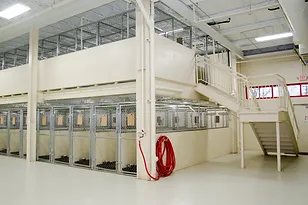 Dog boarding kennels at Blue Ash Ohio Animal Care Center